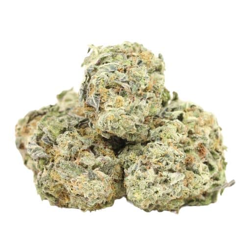 Starbud strain cannabis
