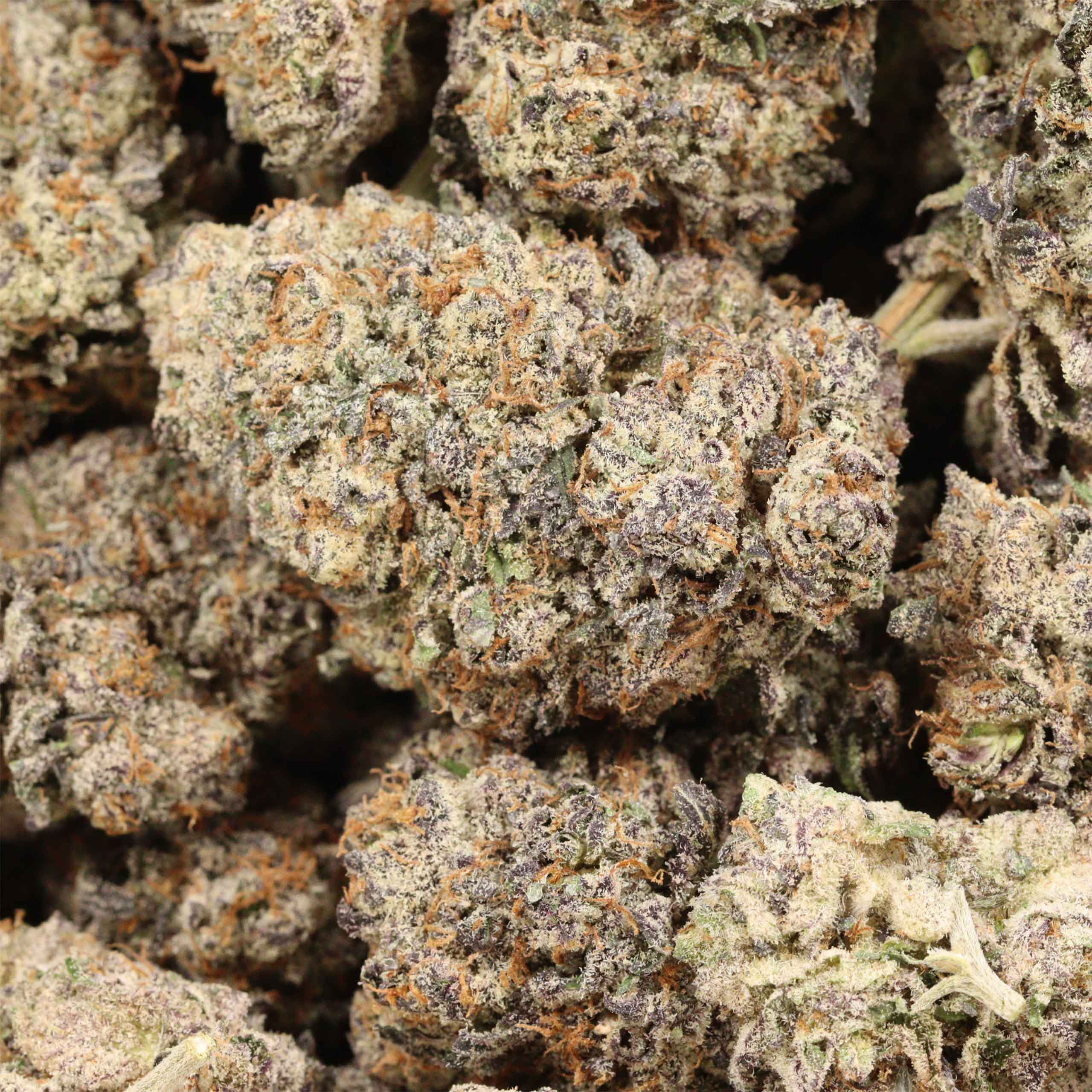 The Ooze craft cannabis wholesale