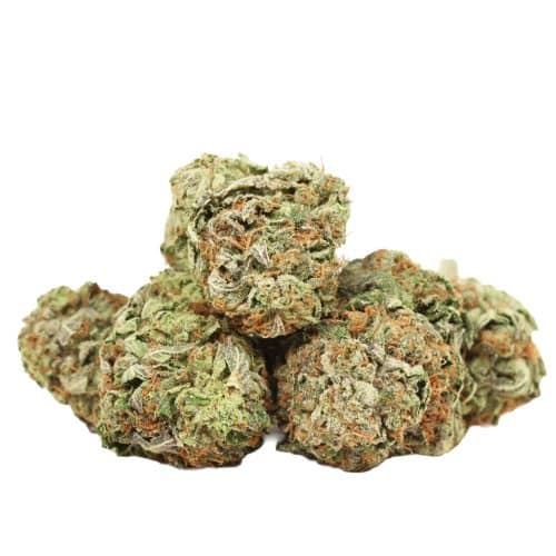 Tom Ford Pink Kush strain cannabis