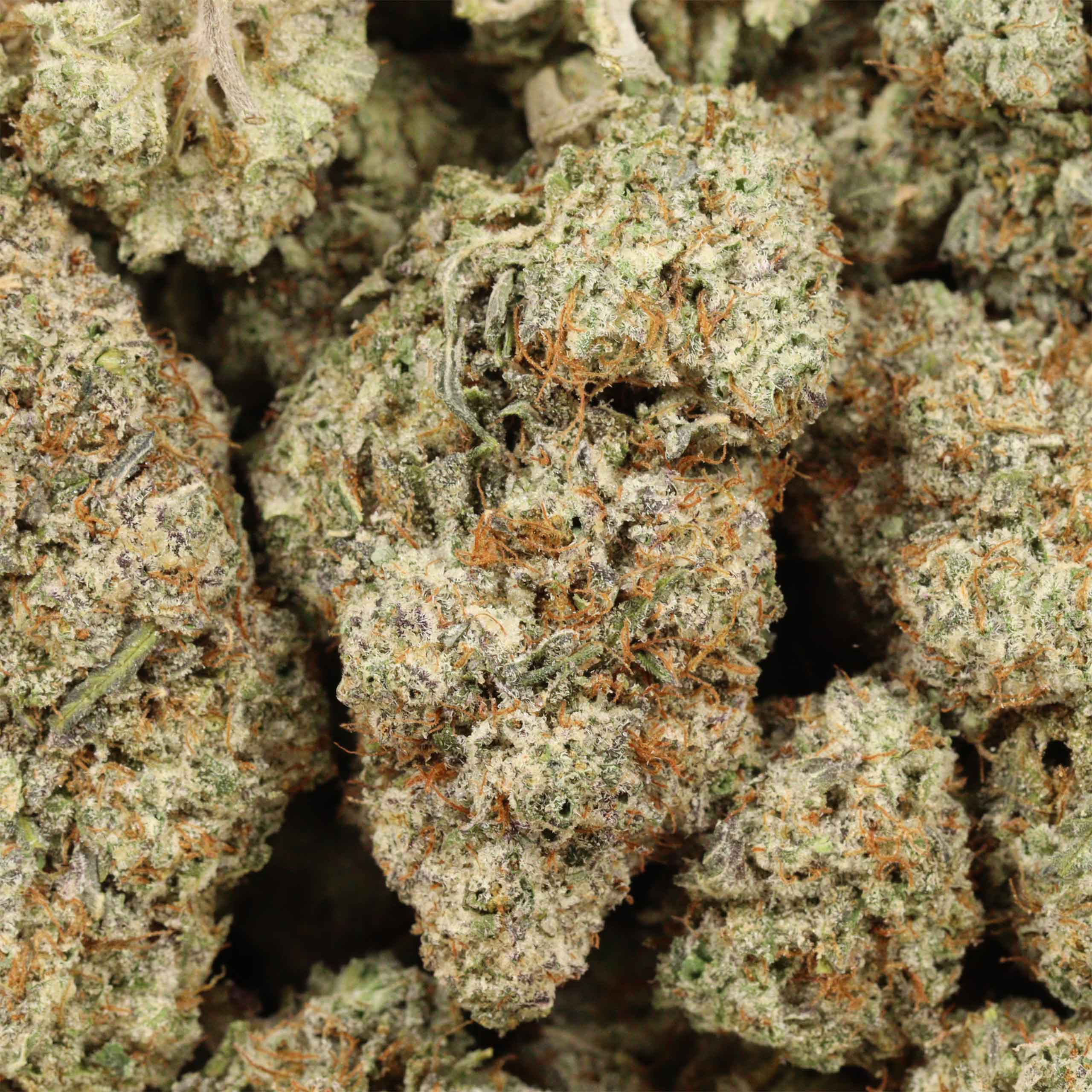 Ultra Banana cannabis wholesale