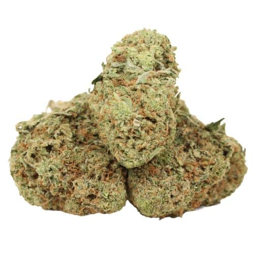 Wedding Cake strain cannabis