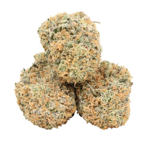 White Truffle strain cannabis