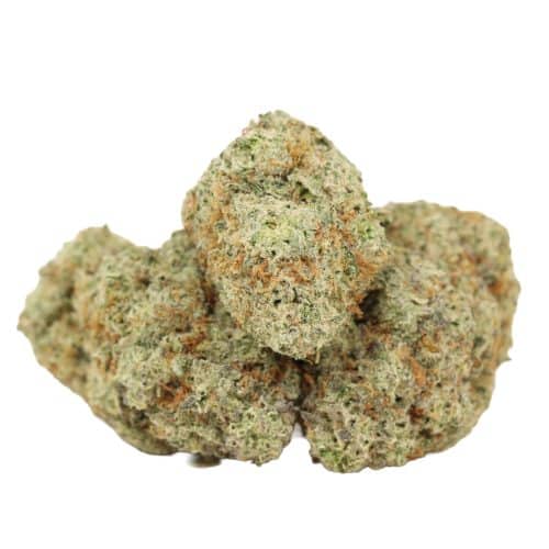 White Widow strain cannabis