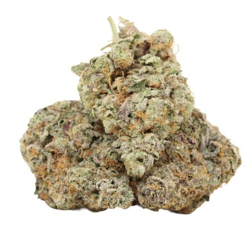 Wizard Punch strain craft cannabis