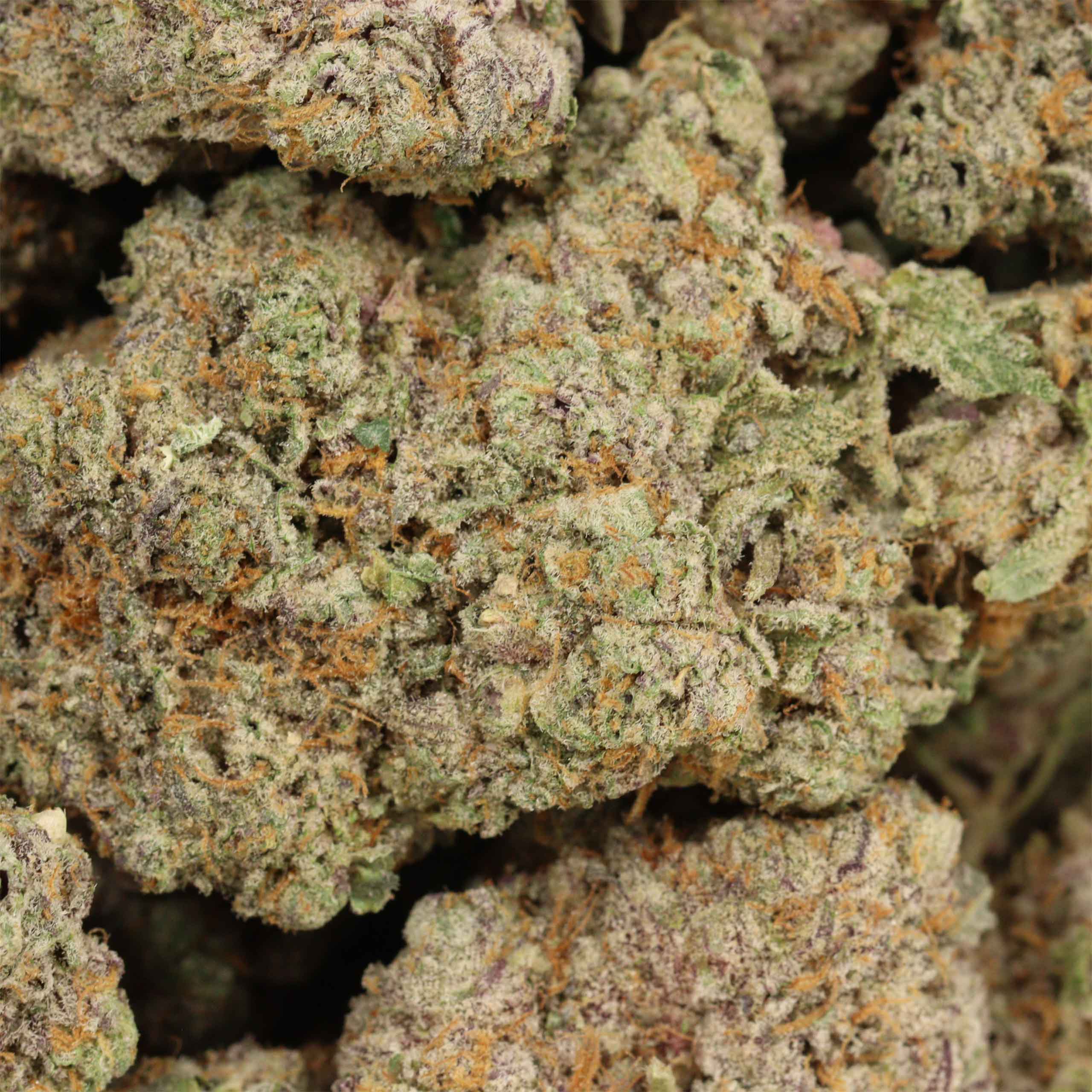 Wizard Punch craft cannabis