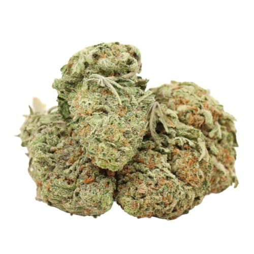 Yoda OG strain cannabis