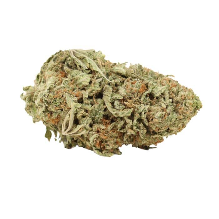 Yoda OG Strain | Online Dispensary Canada | Bulk Buddy We