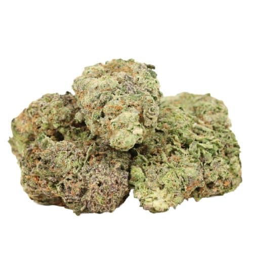 Space Queen strain cannabis