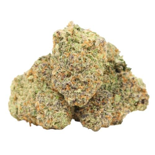 Galactic Punch strain