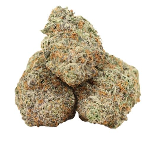 GrandDaddy Death strain cannabis