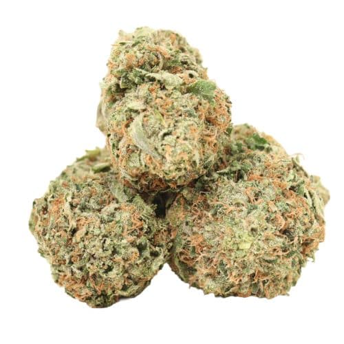 Ultra Pink strain cannabis