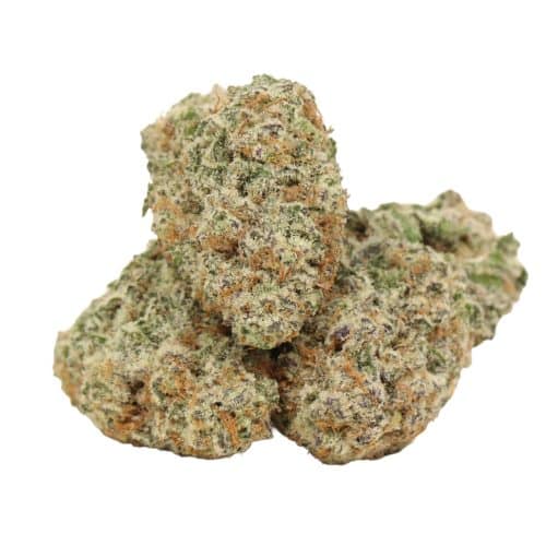 9 Pound Hammer strain cannabis