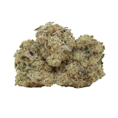 Afghani pink strain cannabis