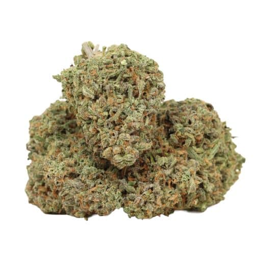 Alaskan Thunder Fuck strain cannabis