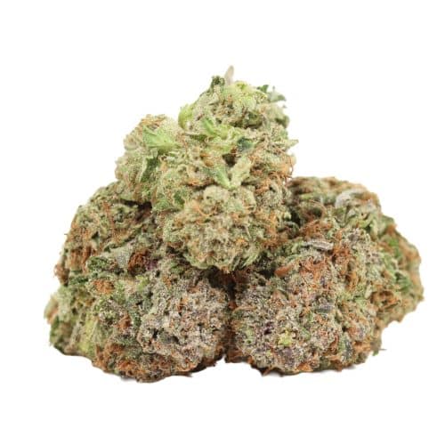 Astro Pink Kush strain cannabis