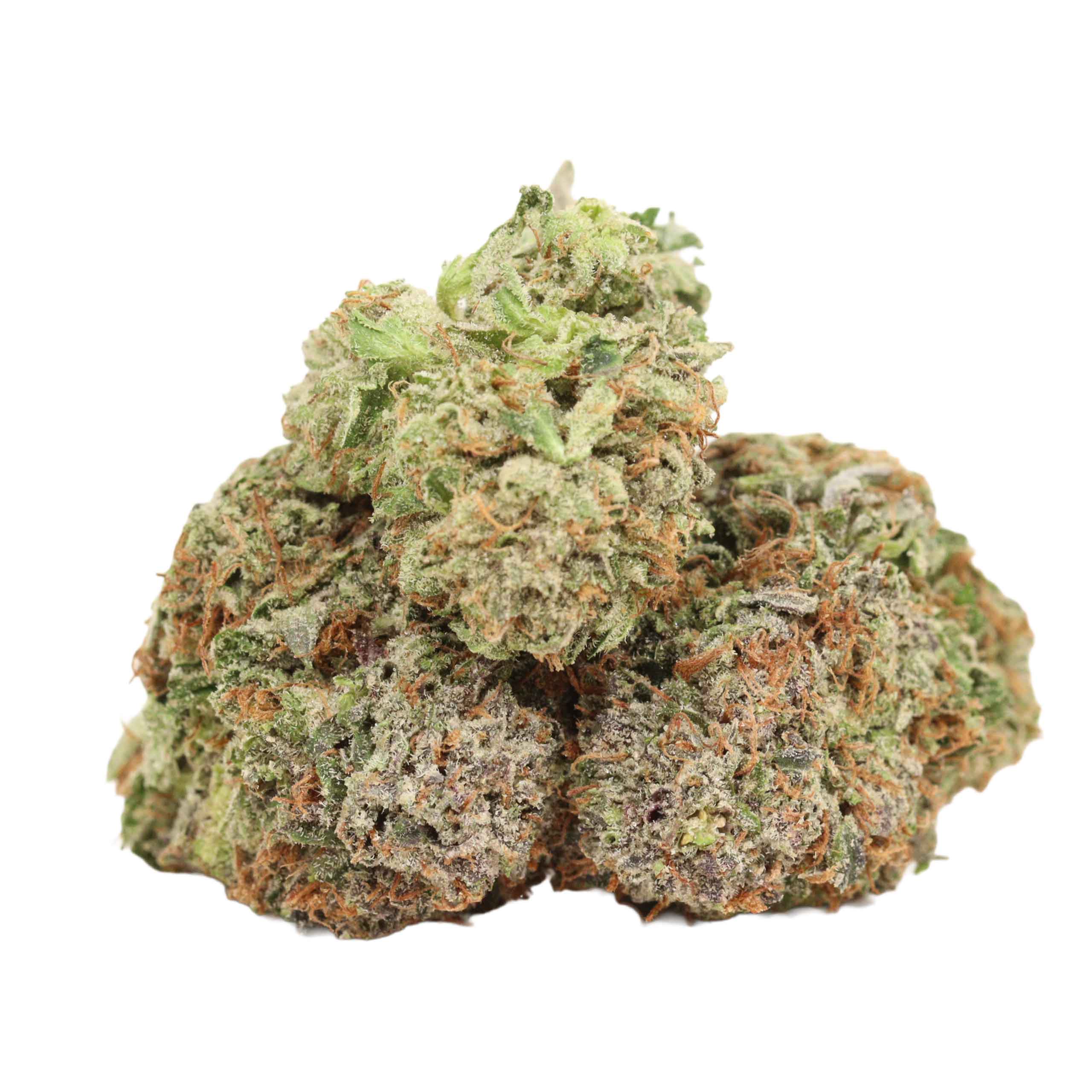 Astro Pink Kush strain cannabis