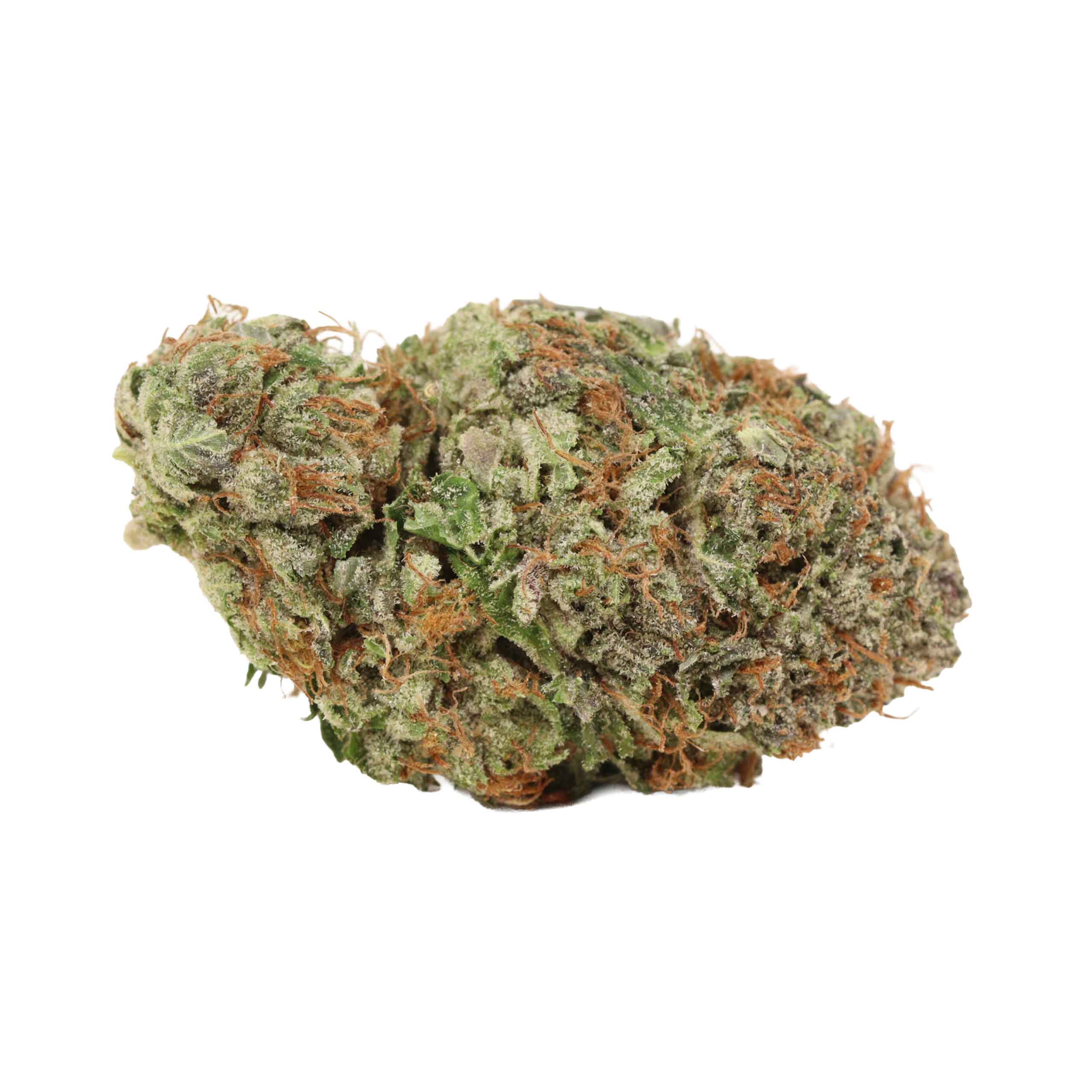 Astro Pink Kush weed cannabis