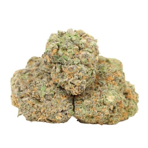 Big Drip strain cannabis