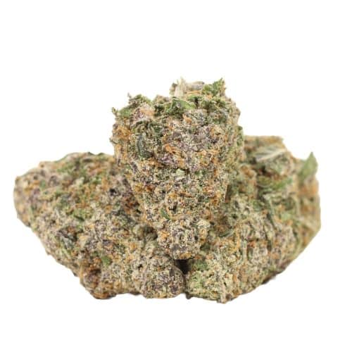 Biscotti strain cannabis