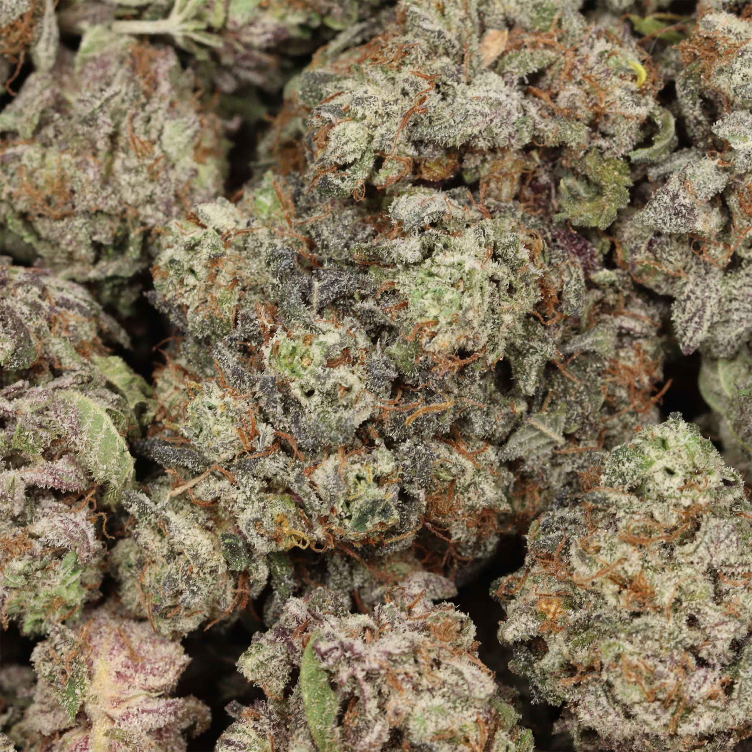 Black Mamba cannabis