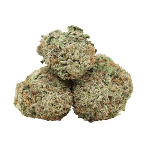 Black Nuken strain cannabis