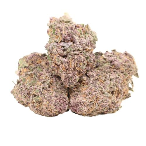 Black Cherry Soda strain cannabis