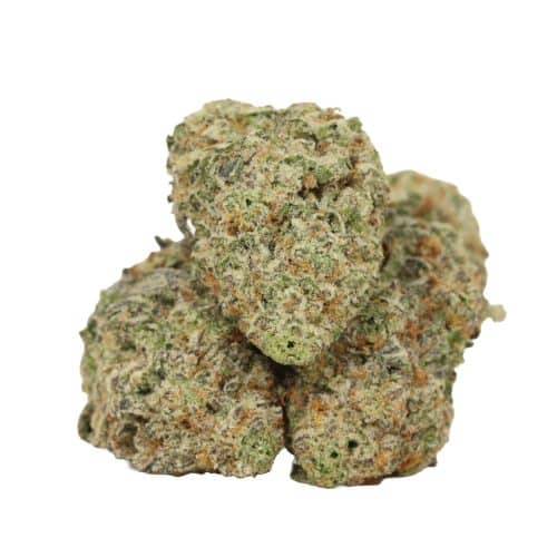 Blueberry AK strain cannabis