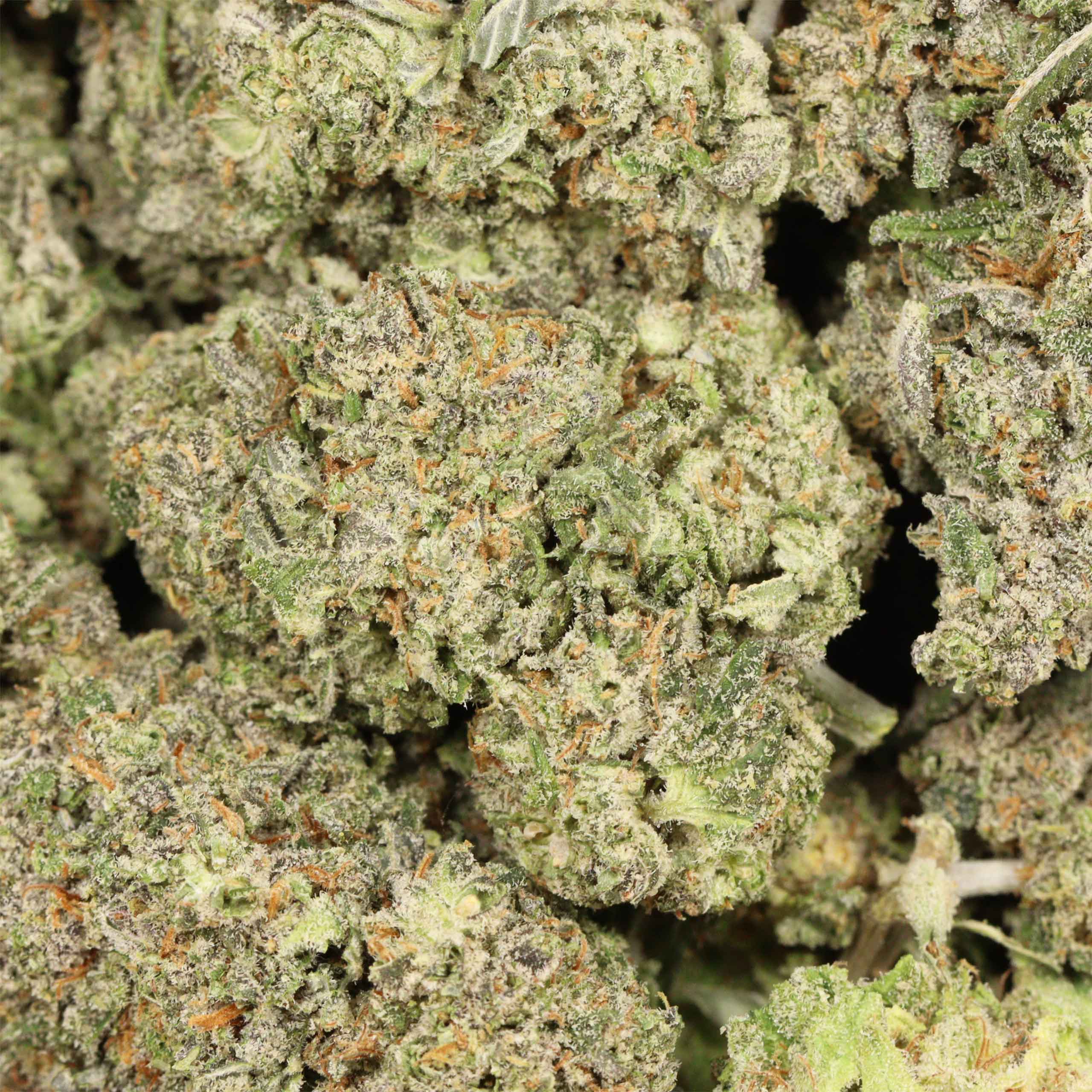 Bruce Banner cannabis