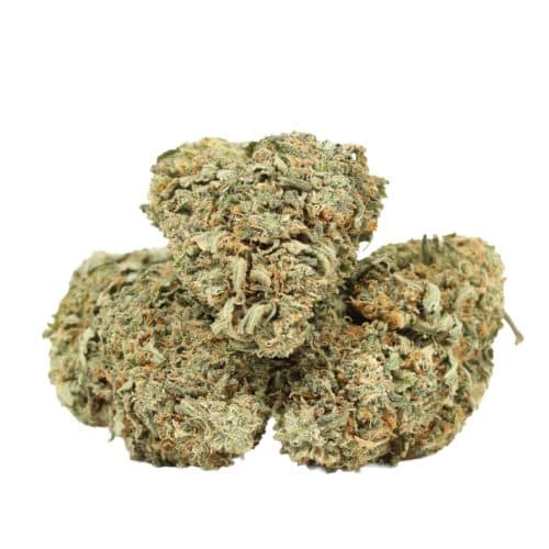 Bubba Kush strain cannabis