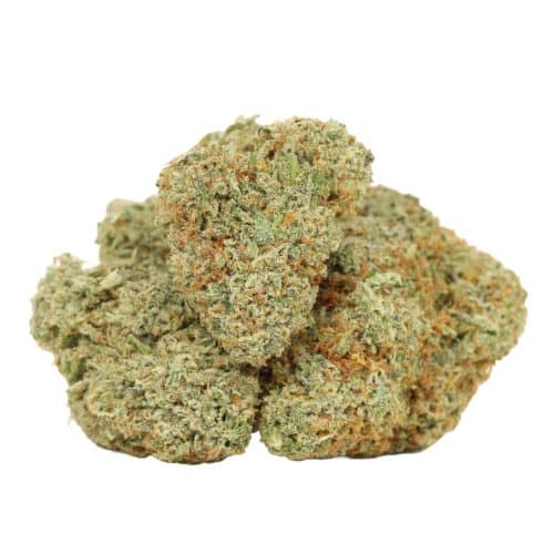 Candyland strain cannabis