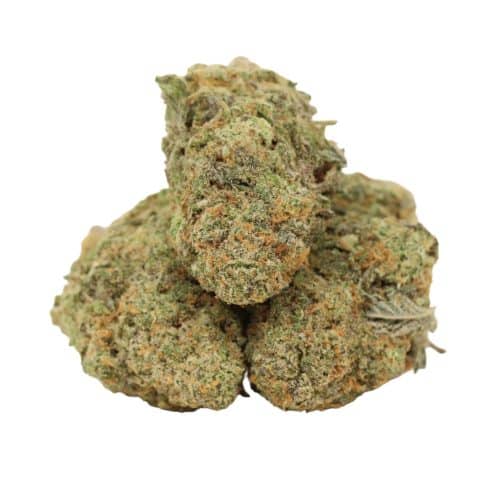Cartel Kush strain cannabis