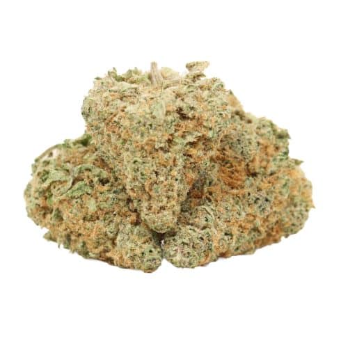 Casey Jones strain cannabis