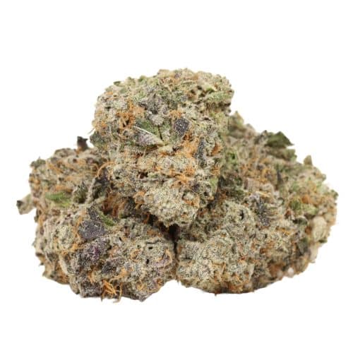 Comatose strain cannabis