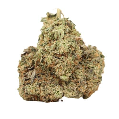 Death Gas strain cannabis