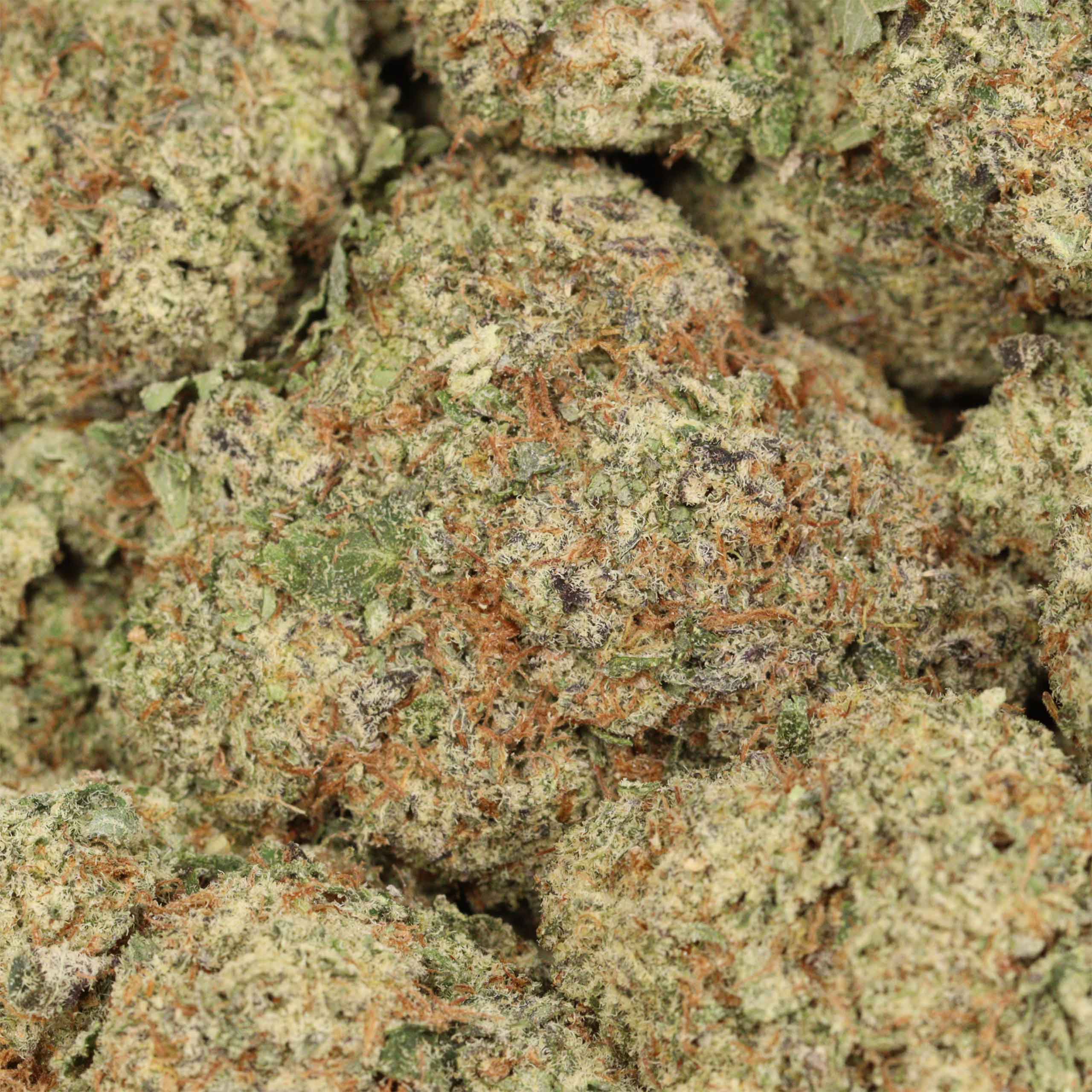 Dior Pink Kush cannabis