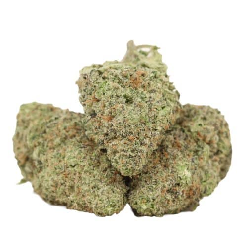 Durban Poison strain cannabis