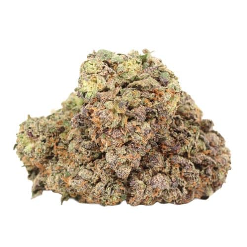 Forbidden Runtz strain cannabis