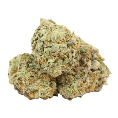 Galactic Punch strain cannabis