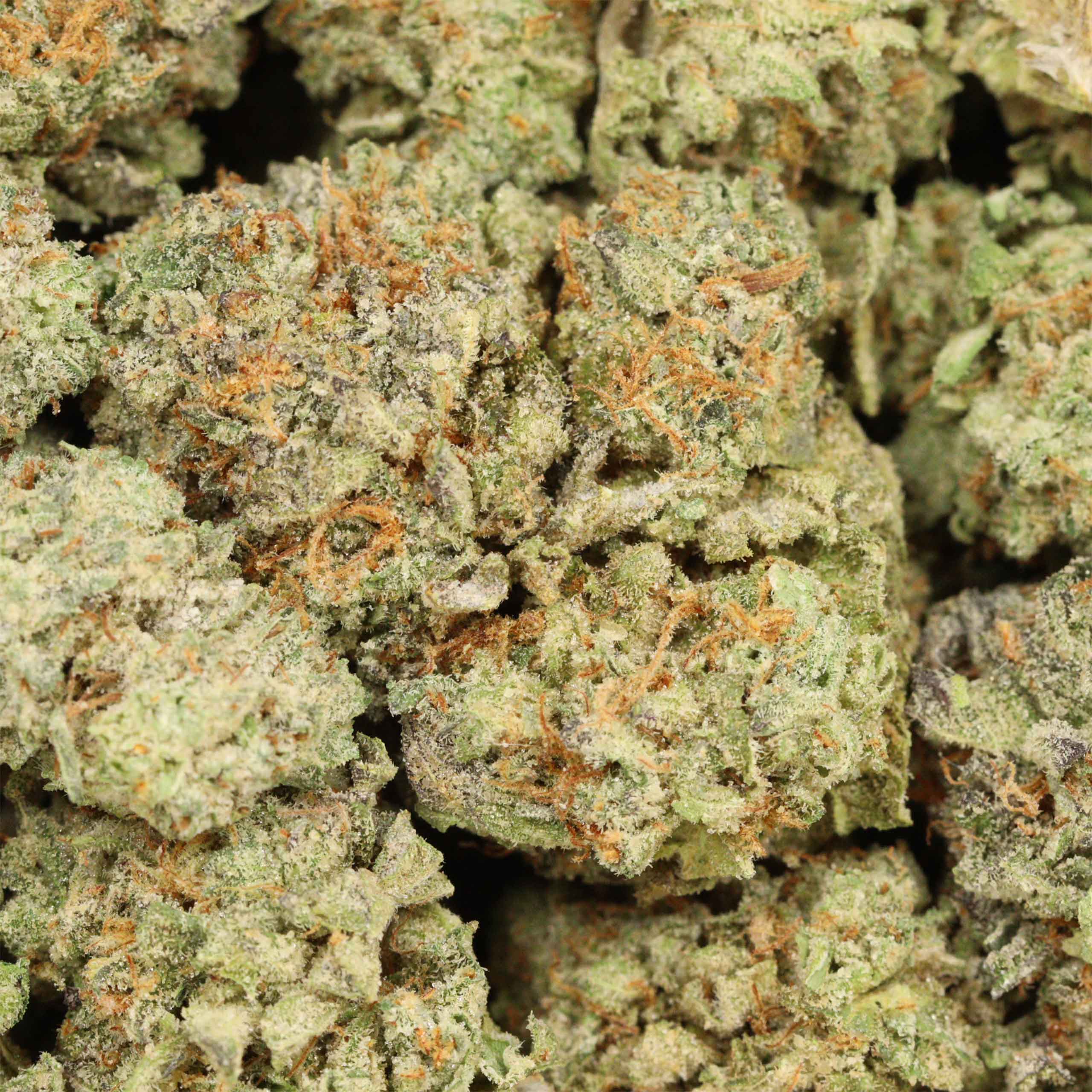 Galactic Punch cannabis