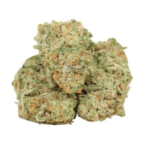 Girl Scout Cookies strain cannabis