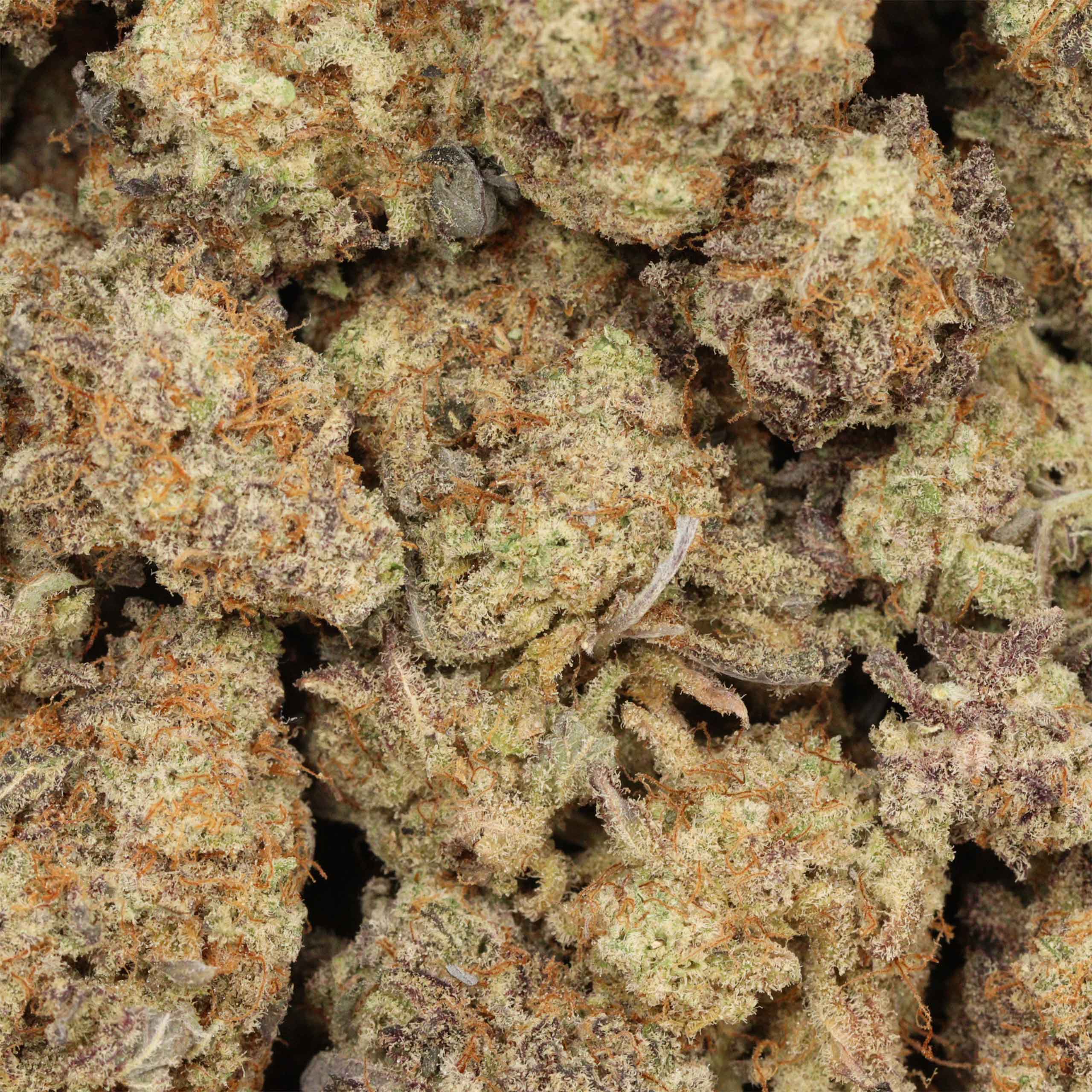 Glazed Donut cannabis