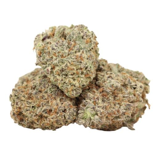 Golden Monkey strain cannabis