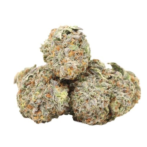 Gorilla Glue #4 strain cannabis