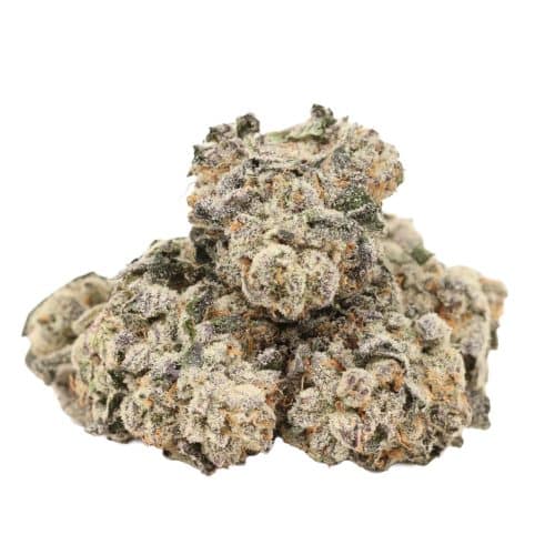 Grand Daddy Purple strain cannabis