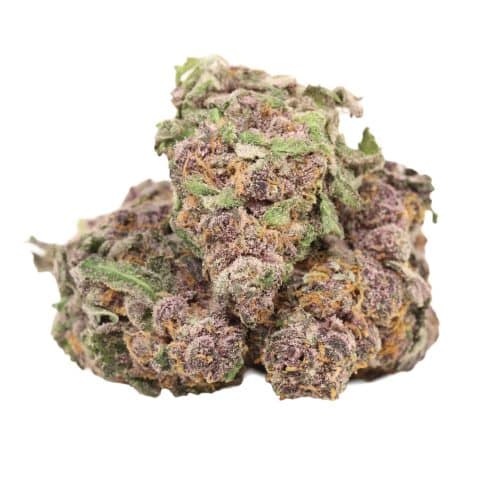 Huckleberry Soda strain cannabis