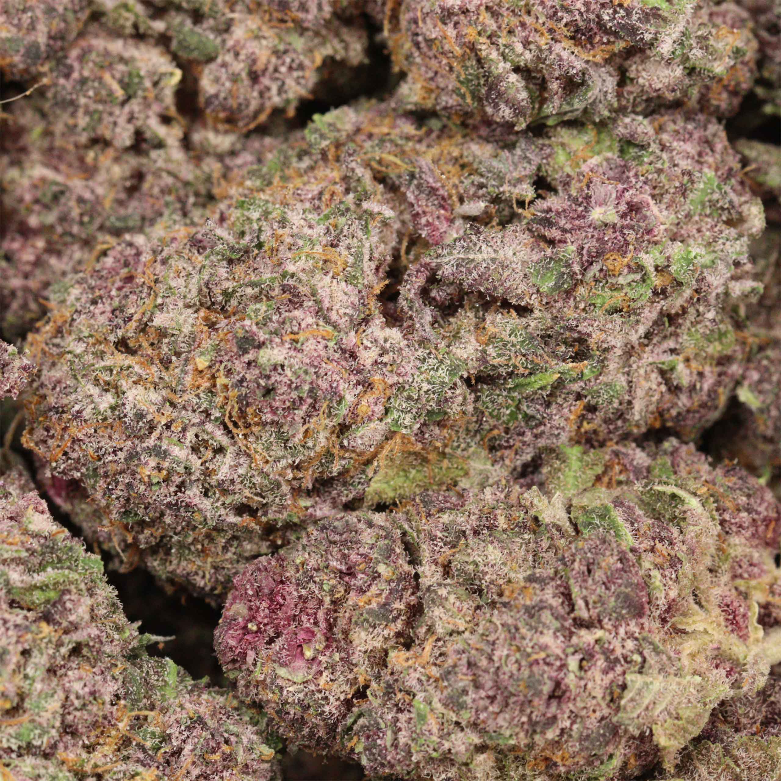 Huckleberry Soda cannabis