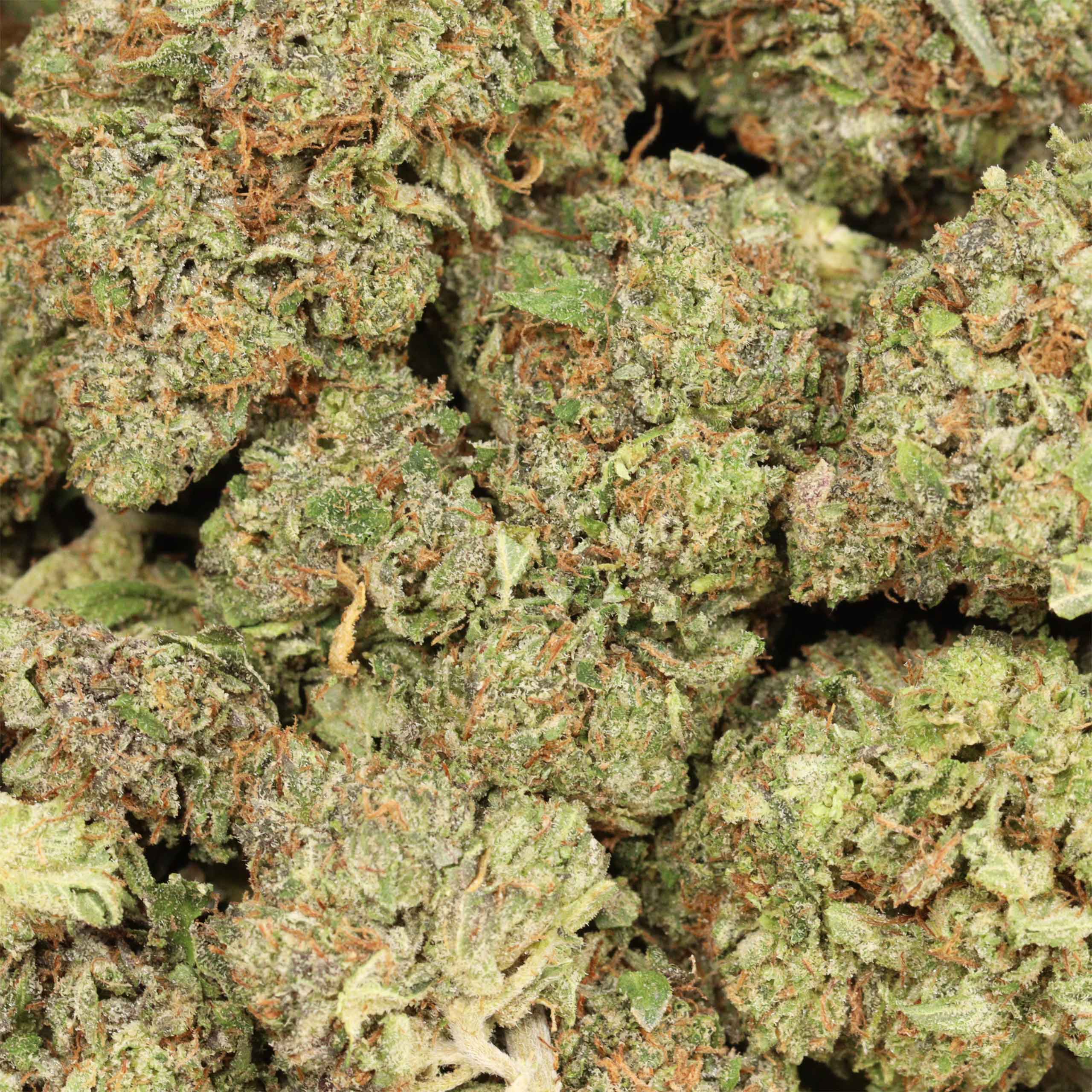 Hydro Death Bubba cannabis