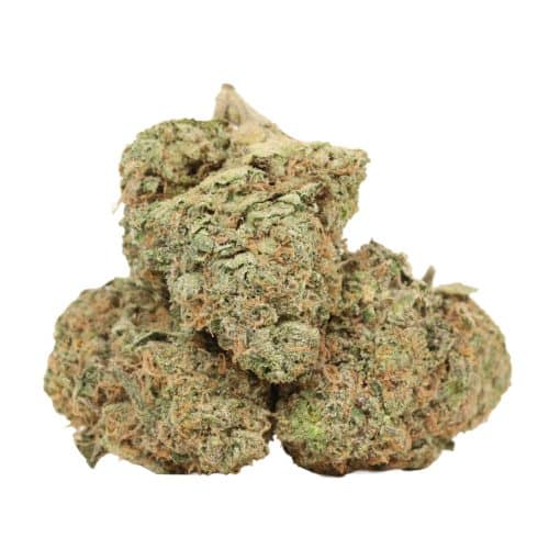 Ice Cream Cake strain cannabis