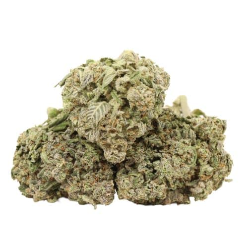 Khalifa Kush strain cannabis