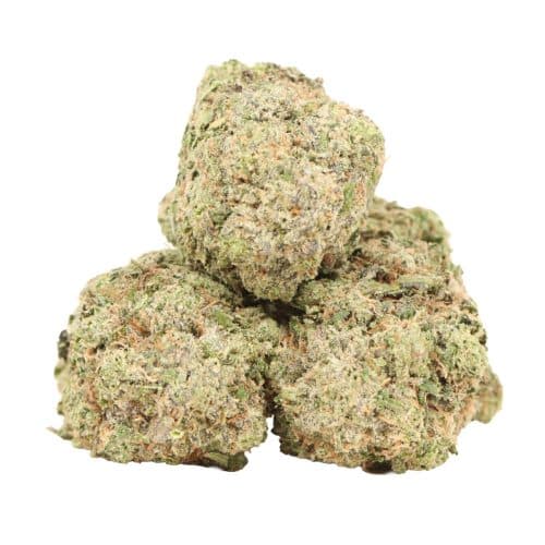 Larry Rockstar strain cannabis